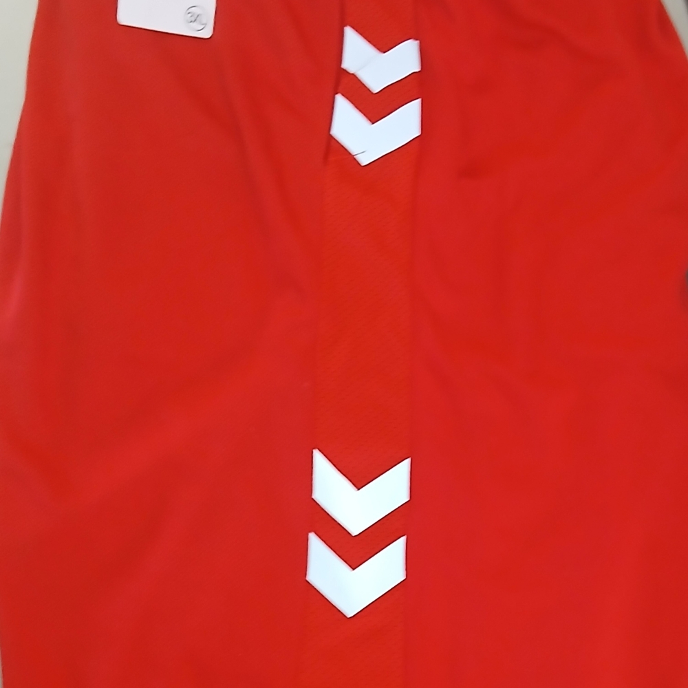 Liberty Pro Athletic Shorts  Red with White Chevron Accents